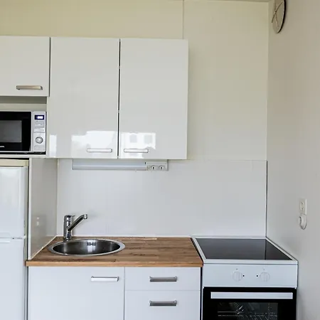 Lapland Aurora Apartment Rovaniemi